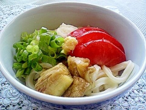 夏にさっぱり☆ナスと生姜のぶっかけうどん